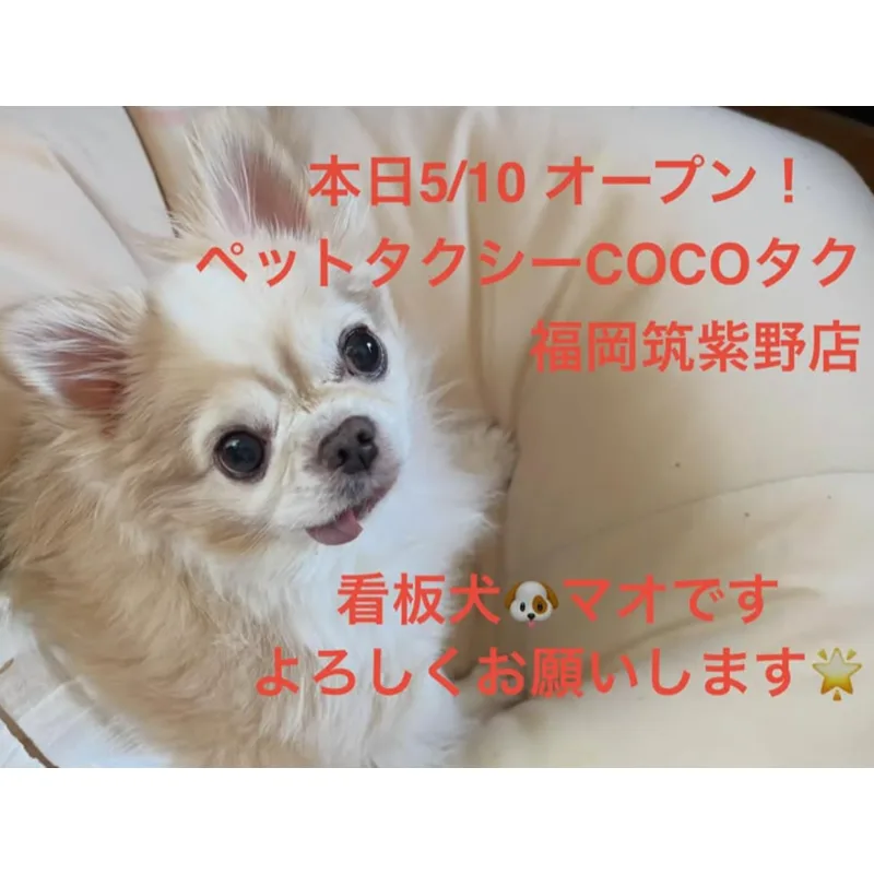 COCOタク 投稿2
